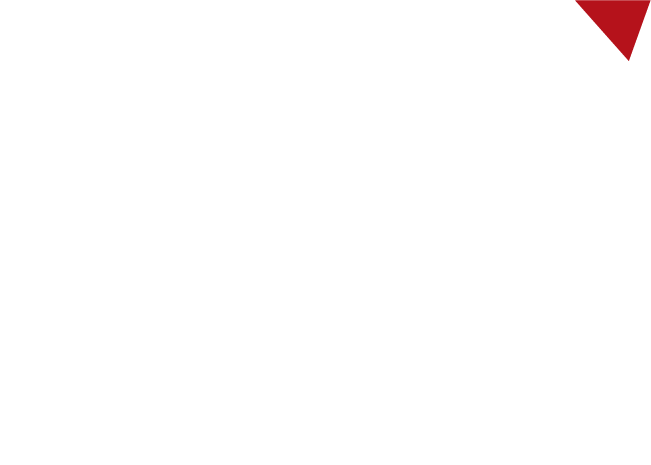 FSI Logo